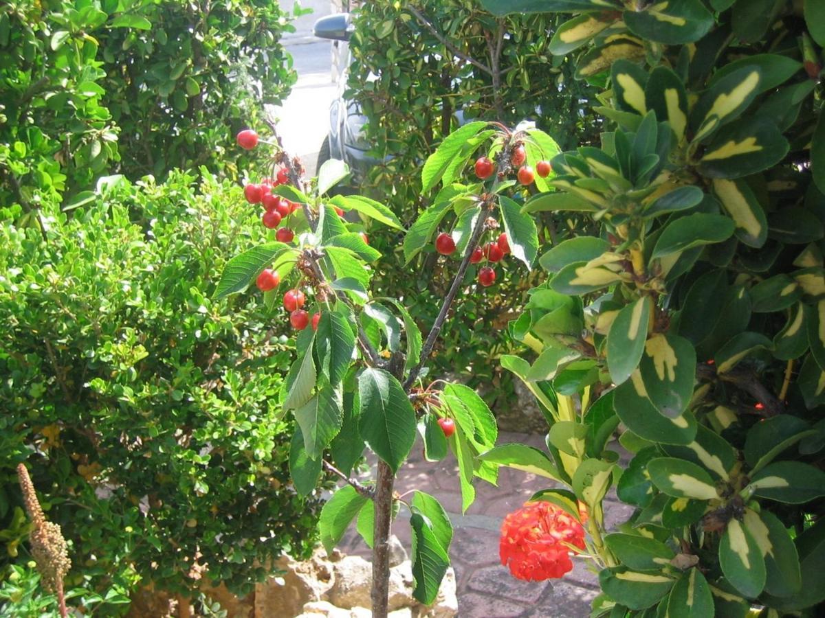 Accussi Bed & Breakfast Alcamo Marina Exterior photo